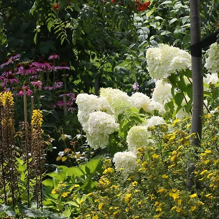 Bed & Breakfast Stara Szkola Architekci Jagodne Wielkie