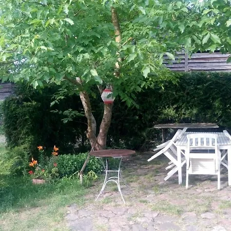 Stara Szkola Architekci Jagodne Wielkie